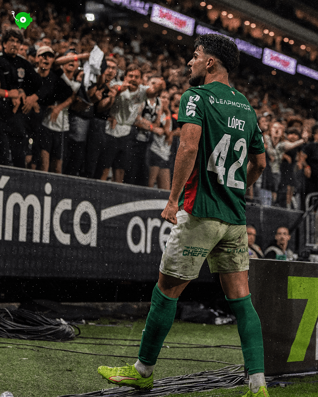 Moto Chefe Palmeiras